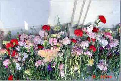 flowers_at_tampan